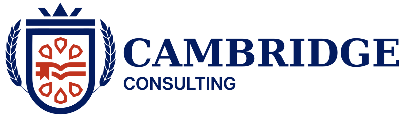 Cambridge Cunsulting & Education